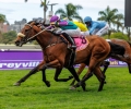 R1-THE-MARQUEE-59975