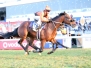 VDJ Gallops 2016