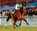 3L8A6731MadeToConquer