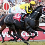 Vodacom Durban July – diary update