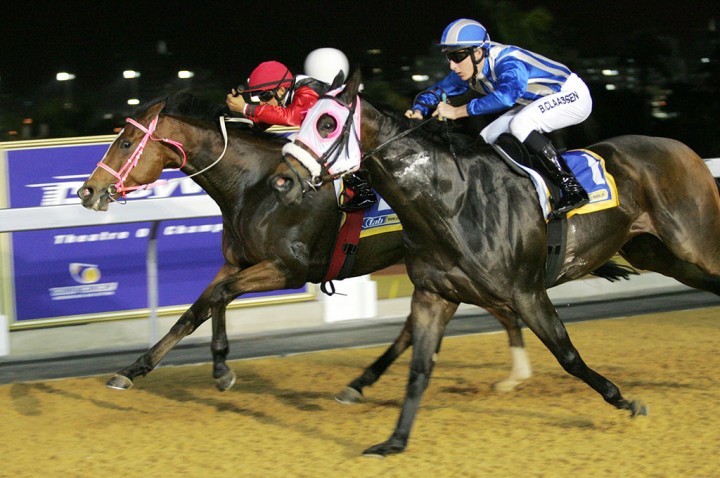 greyville polytrack night racing