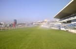 greyvilletrack