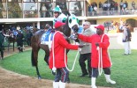 Scottsville-parade-ring