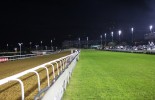 view of the greyville poly and turf tracks