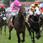 Today’s Tips – Value Bets