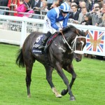 Soft Falling Rain retires