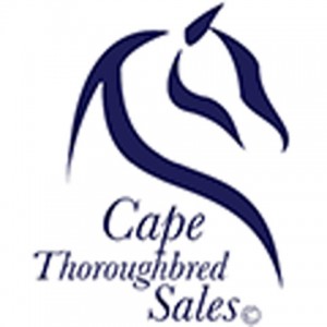 Cape Thoroughbred Sales