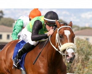 act of war closeup lk site