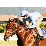 Legislate tops Drill Hall entries
