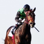 Captain confirmed for Tsogo Sun Sprint