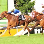 24 Entries for the KZN Breeders Million Mile