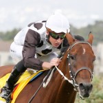 Legislate and Futura top Drill Hall entries