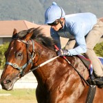 Legislate tops the boards