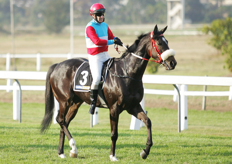 All about the race Gold Circle Horse Racing And Betting