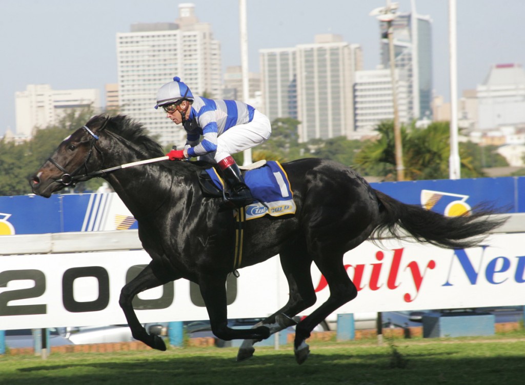 Horse Racing News Gold Circle Horse Racing And Betting