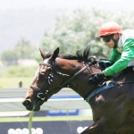 Harry’s Son scratched from KRA Guineas