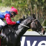 Kotzen with double chances
