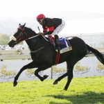 Alboran Sea retired after injury