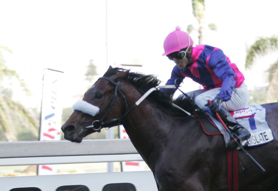 All about the race Gold Circle Horse Racing And Betting