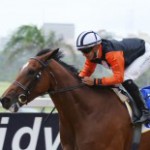 Media Release:  Betting World 1900 Final Field