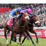 Entries: Vodacom Durban July 2015