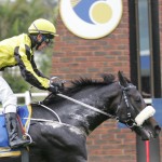 Power King heads Kannemeyer challenge