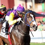 Media Release:  Vodacom Durban July Feature Races