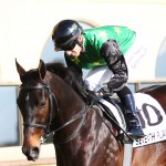 Golden Horseshoe next for Seventh Plain