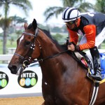 Laff happy with “the miracle horse”