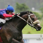 Azzie & Tarry confident about their runners