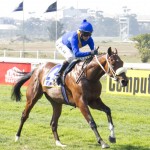 Blinkers for MLJet