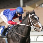 Tarry’s magic show continues