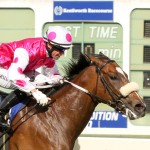 Blinkers working for Jet Aglow