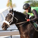 Media Release: Vodacom Durban July Gallops