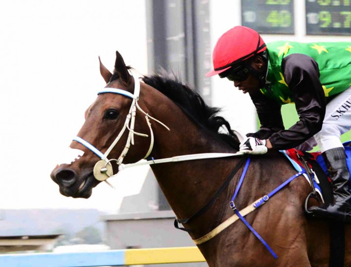 Legal Eagle (JC Photos)