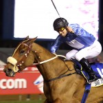 Road to the KZN Yearling Sale Million