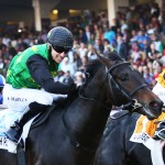 Seventh Plain ‘doing well’