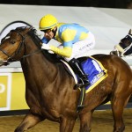 Barbosa fits the bill