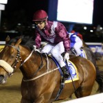 Mambo moving well