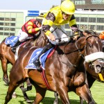 Princess with a score to settle