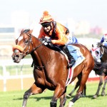 Abashiri ‘a special horse’