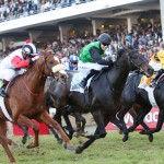 ENTRIES & WEIGHTS:  DURBAN GOLDEN HORSESHOE – GRADE 2