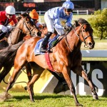 FINAL FIELD: JONSSON WORKWEAR GARDEN PROVINCE STAKES