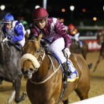 Mambo on to Guineas