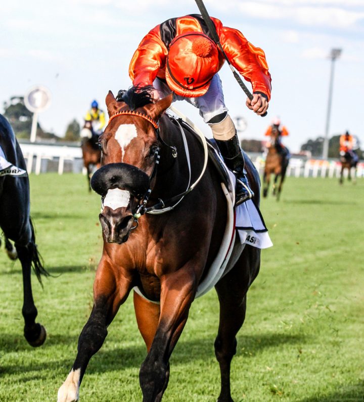 Abashiri (Liesl King)