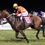 Greyville gallop for Black Arthur