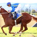 Red Chesnut ruled out