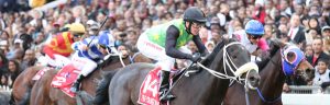vdj fin