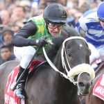 The Conglomerate wins the 2016 Vodacom Durban July