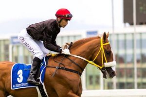 Delpech on Noah From Goa [hamishNIVEN-Photography]